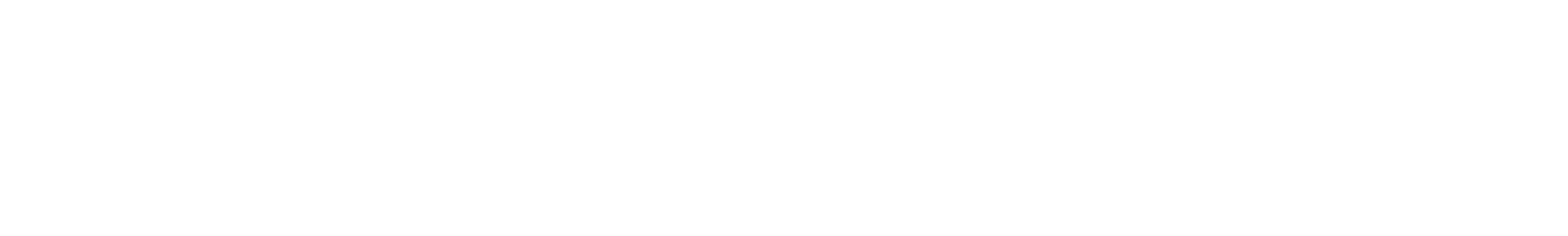 Maggium